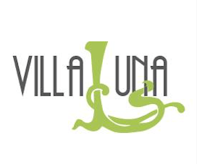 Logo Villanew